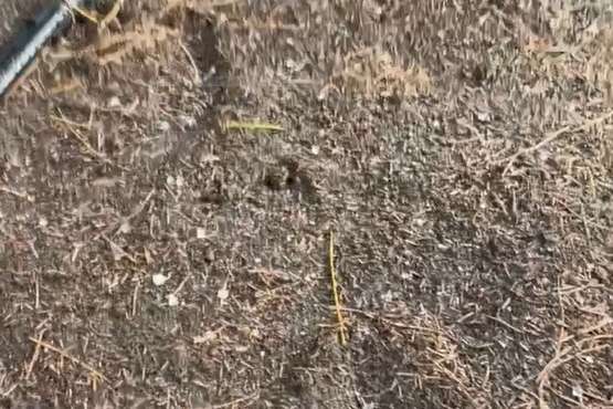 Granizada y lluvia en Telde/TA.